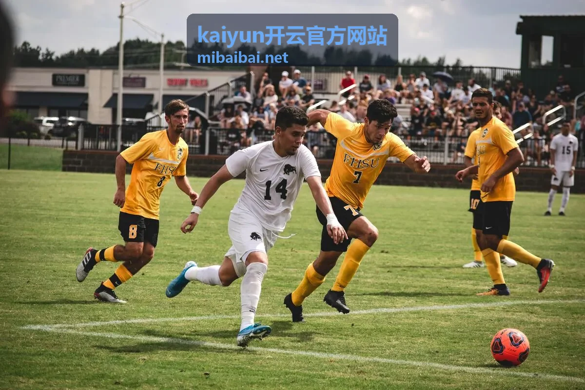 kaiyun开云官方网站云服务选型专题